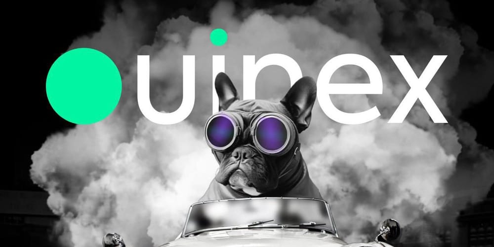 Ouinex Begins Final Beta: Trade Stocks, FX, Commodities & Crypto with Just Your Wallet post image