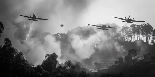 European Union Deploys Aircraft Fleet to Combat Portugal Wildfire Crisis