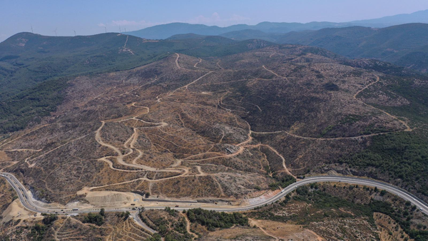 My Lovely Planet ($MLC) Joins Hands With Turkish Professional Footballer Hakan Çalhanoğlu to Plant 50 Soccer Fields of Trees