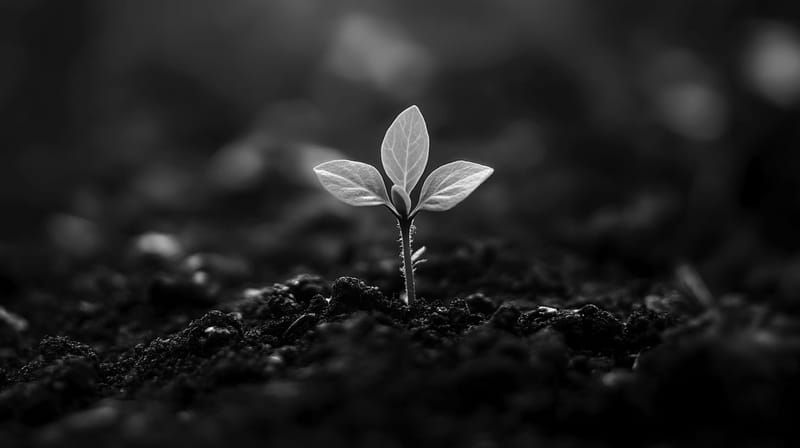 Digital Asset Investment Products Achieve Record Nine Week Inflow Streak Worth 12.9 Billion Dollars post image